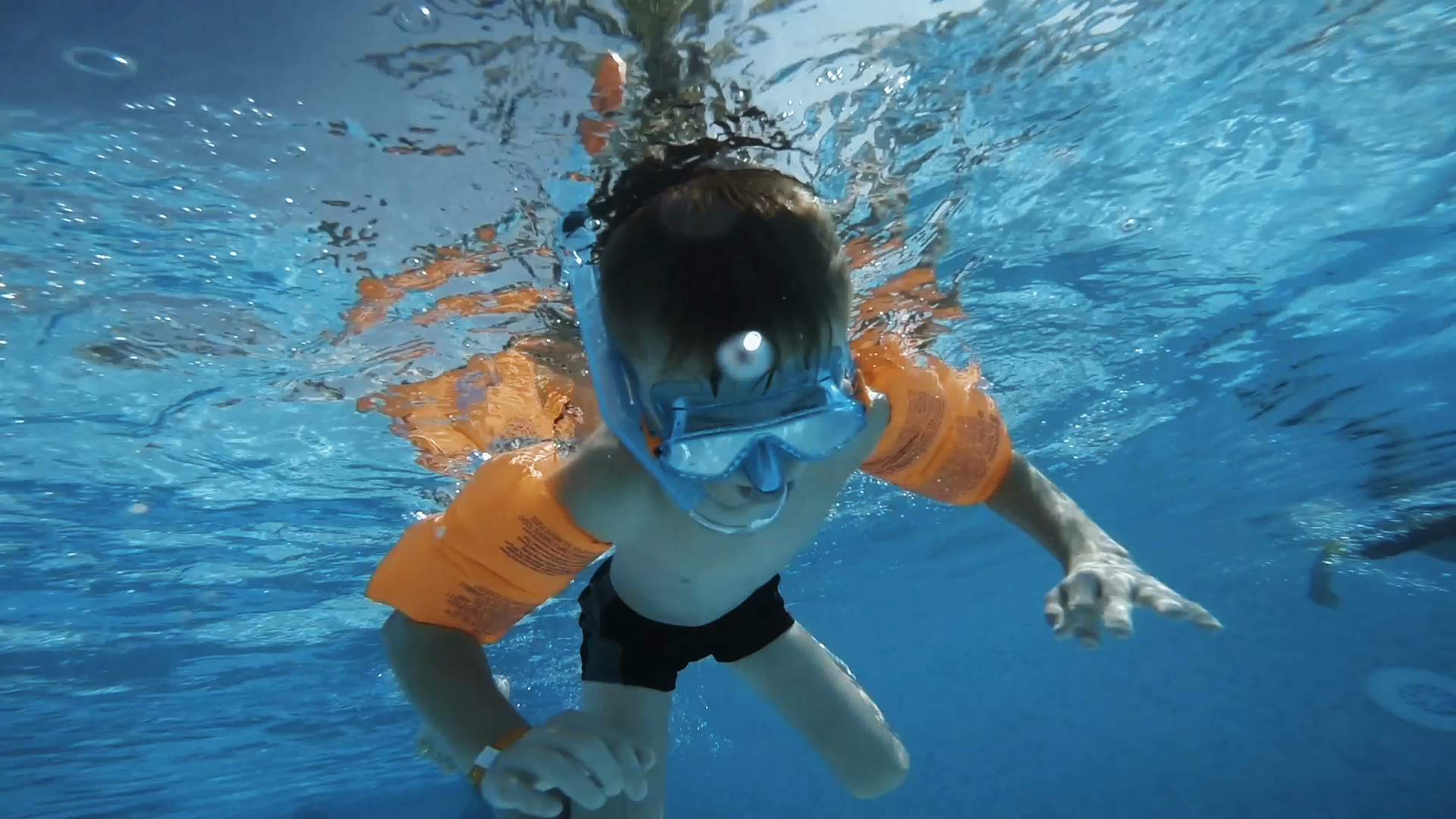 Veure models de piscines